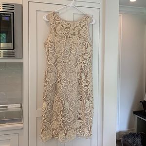 Champagne lace Adrianna Papell Dress